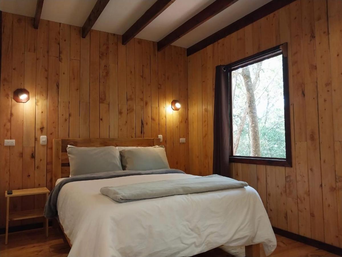 Curuba Lodge Copey エクステリア 写真