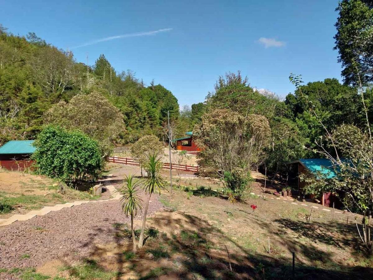 Curuba Lodge Copey エクステリア 写真