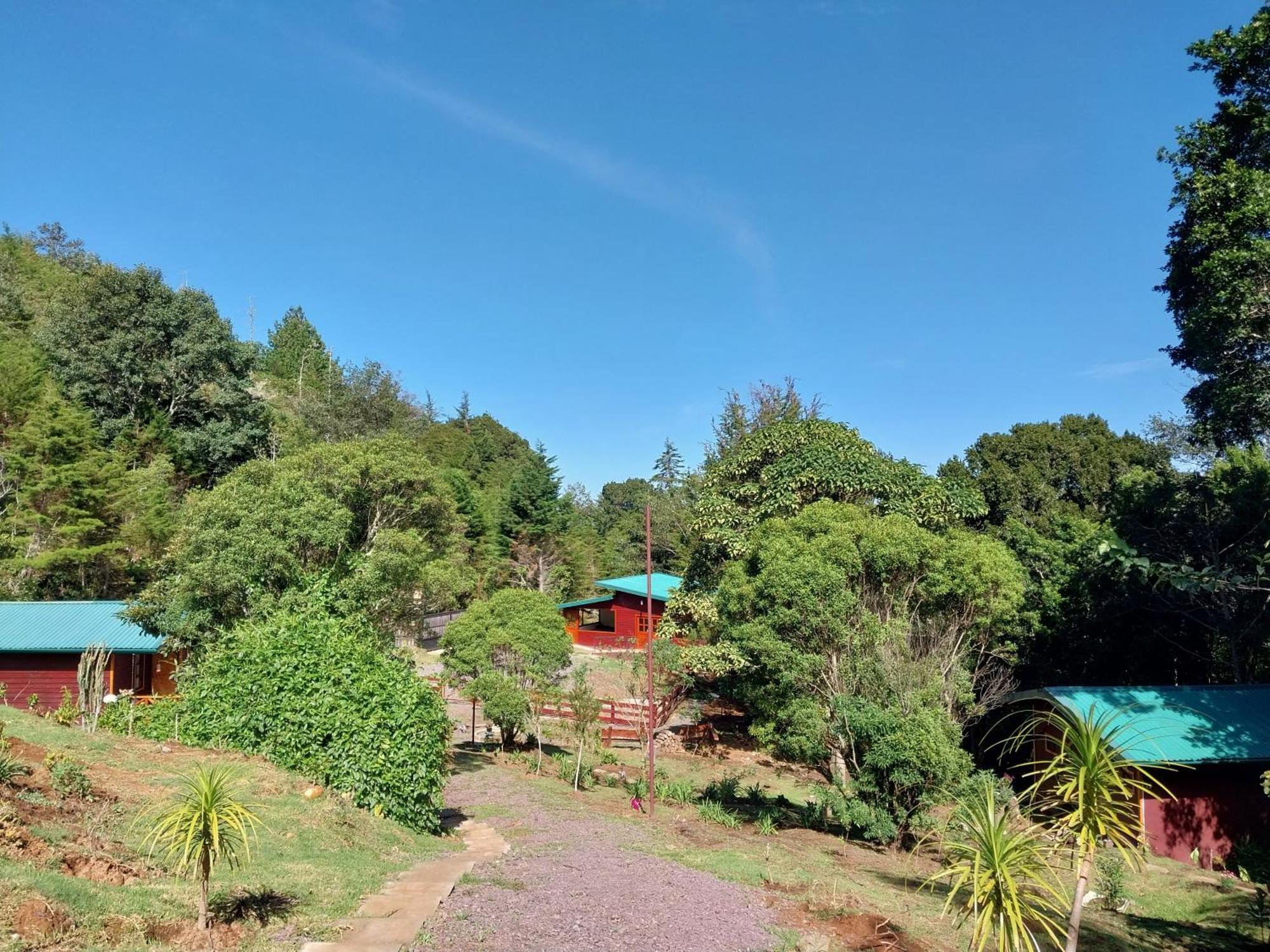 Curuba Lodge Copey エクステリア 写真