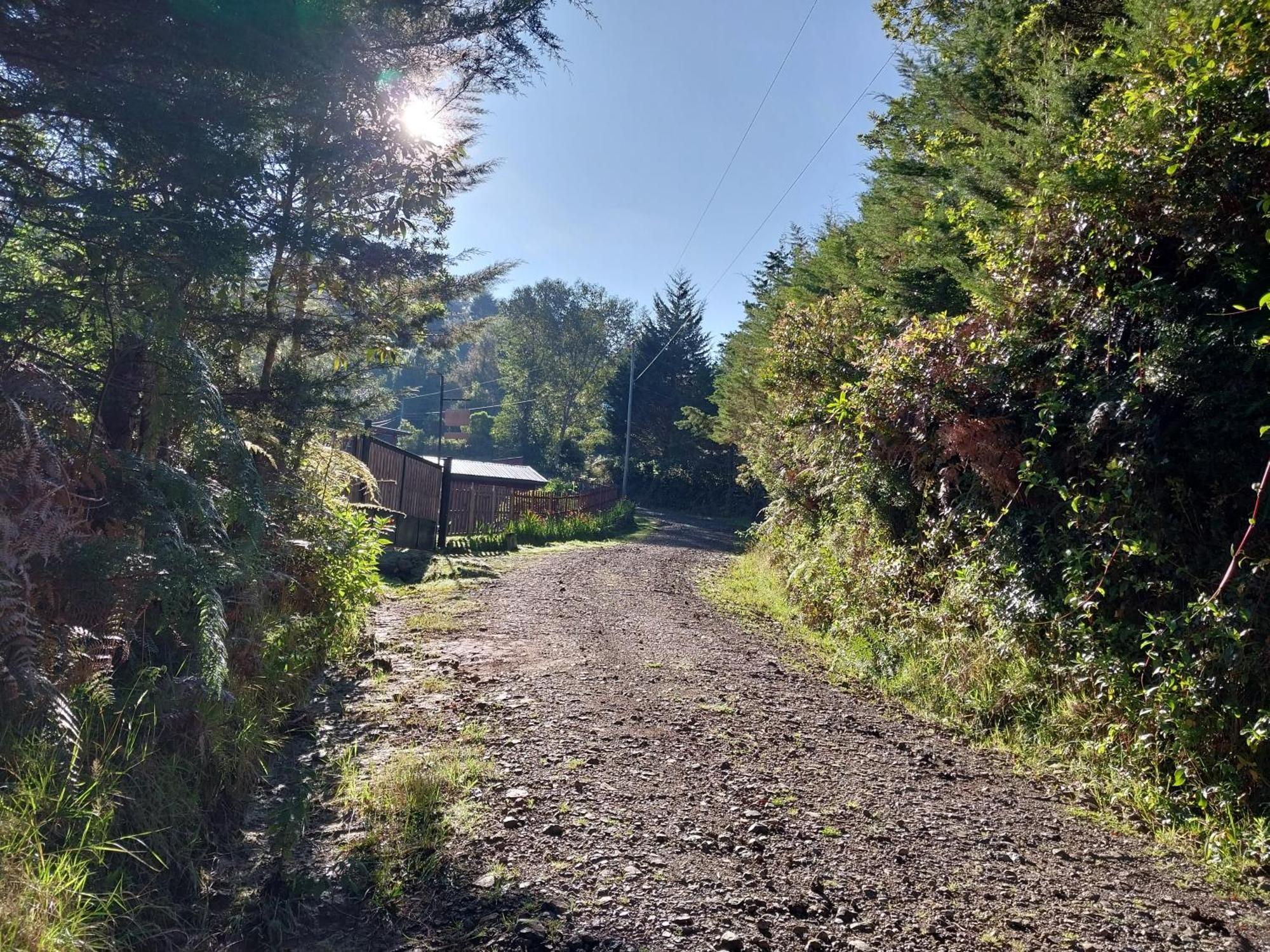 Curuba Lodge Copey エクステリア 写真