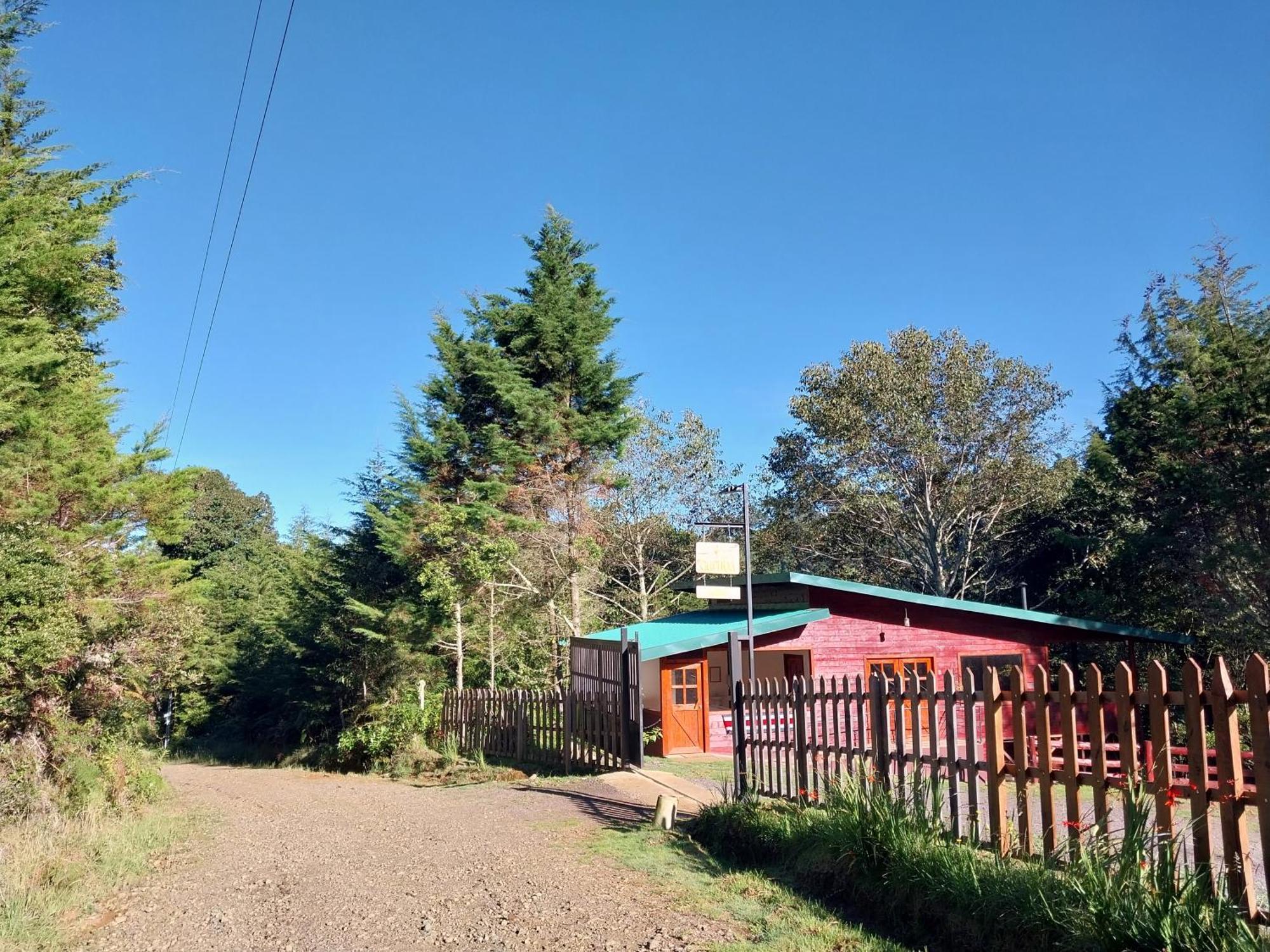 Curuba Lodge Copey エクステリア 写真