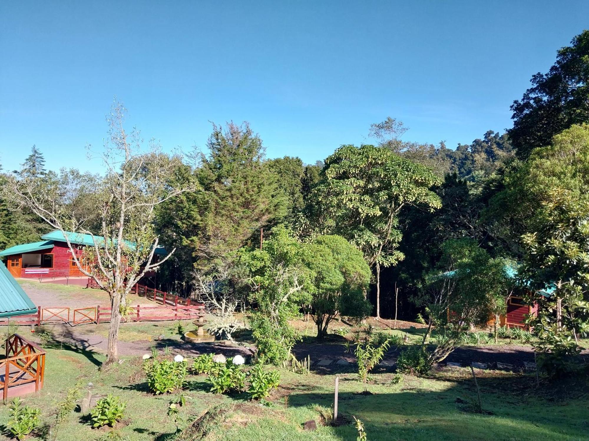 Curuba Lodge Copey エクステリア 写真
