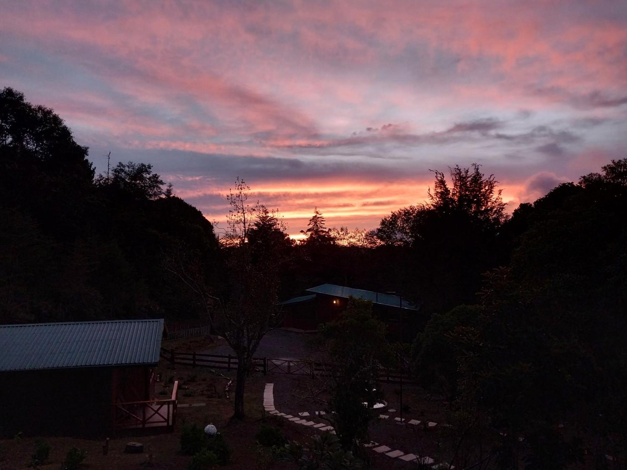 Curuba Lodge Copey エクステリア 写真