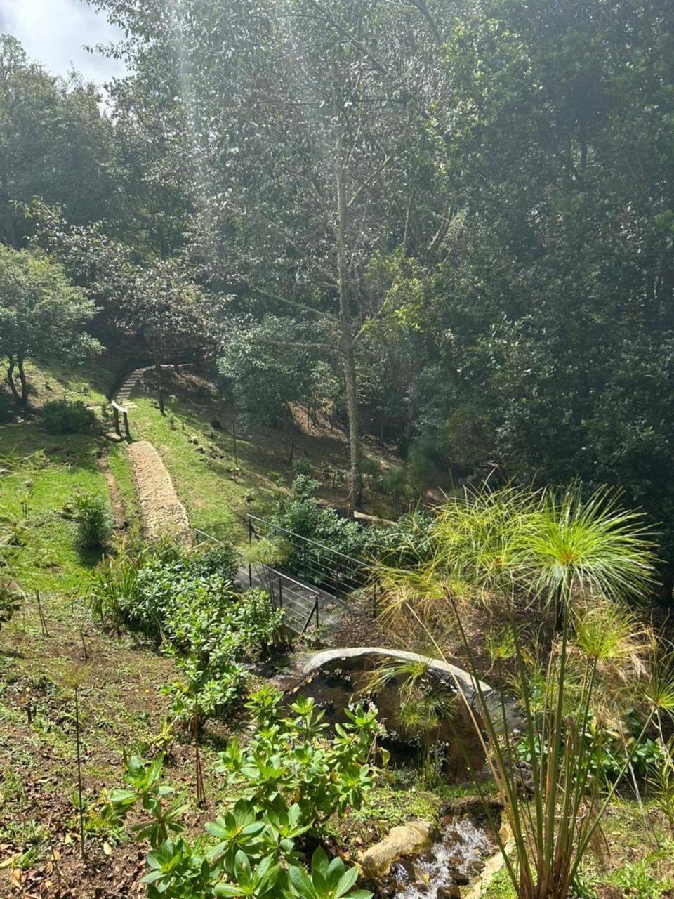 Curuba Lodge Copey エクステリア 写真
