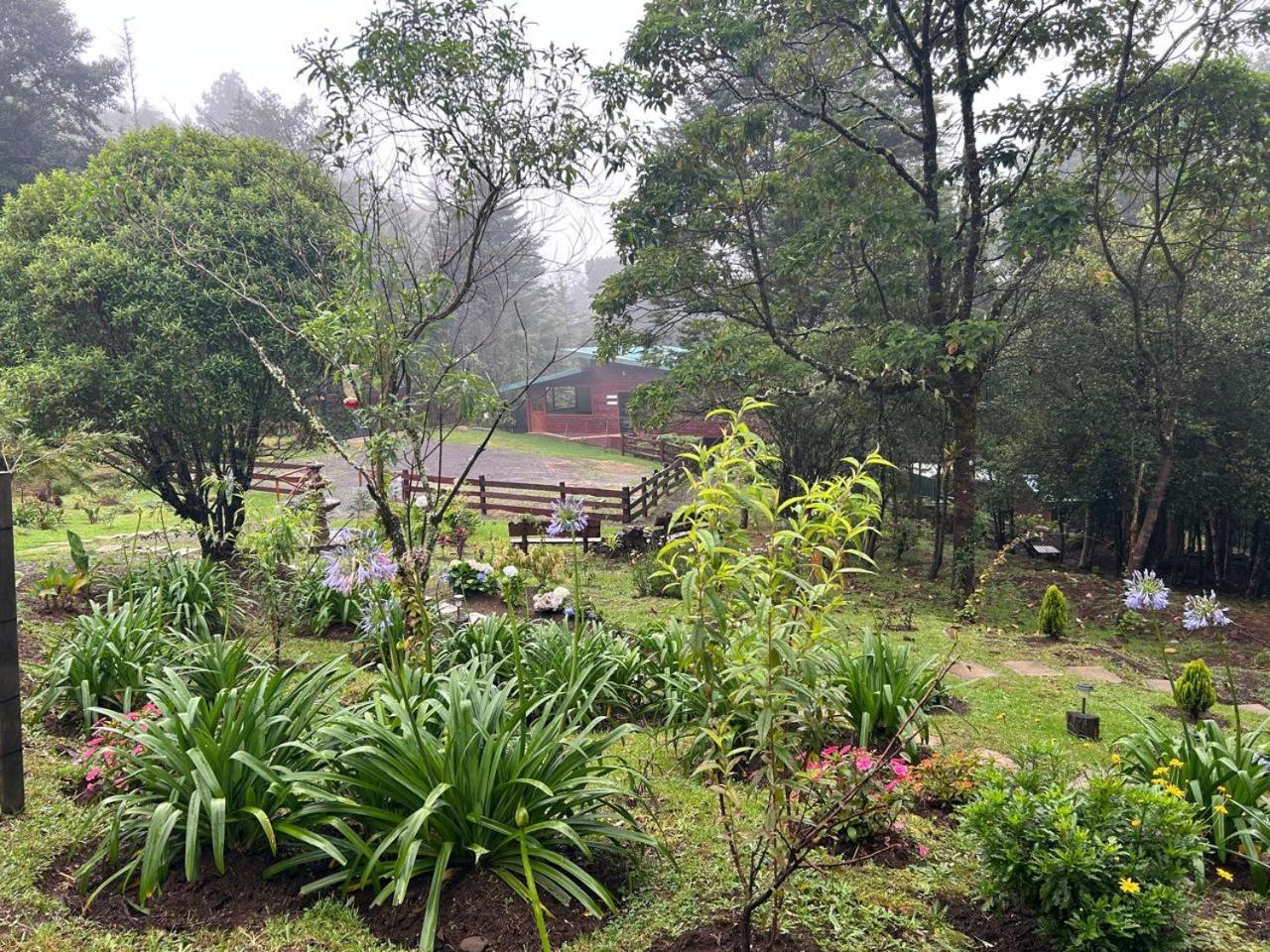 Curuba Lodge Copey エクステリア 写真