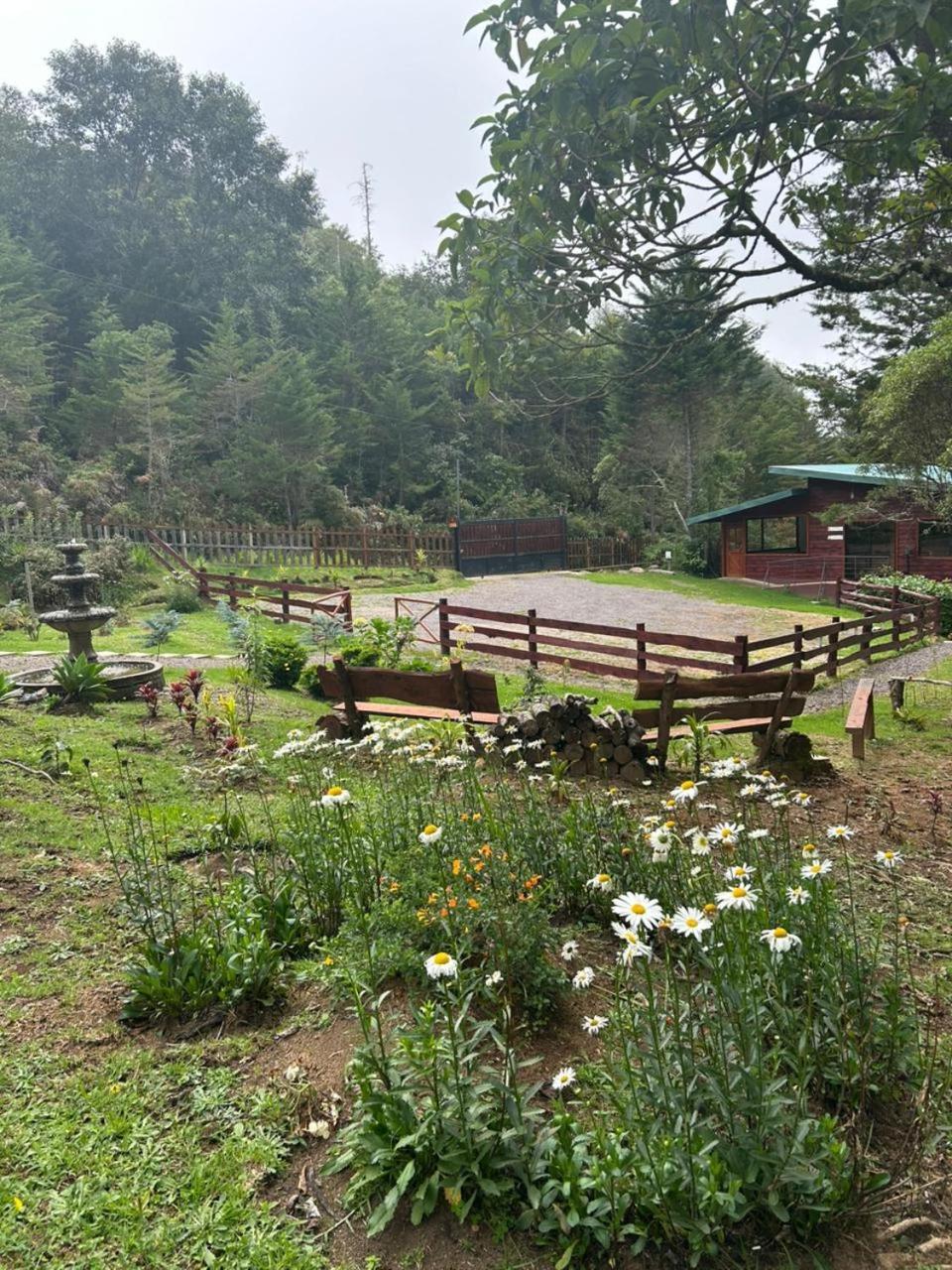 Curuba Lodge Copey エクステリア 写真