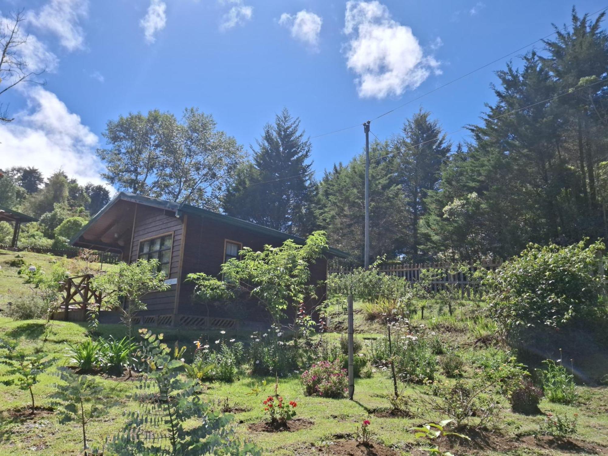 Curuba Lodge Copey エクステリア 写真