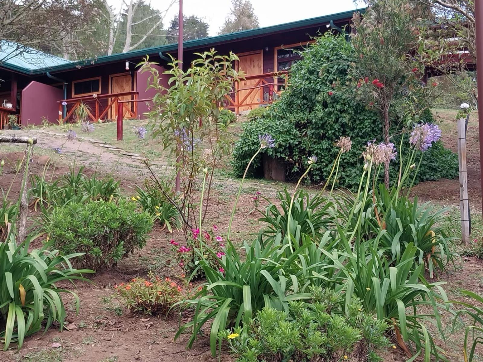 Curuba Lodge Copey エクステリア 写真