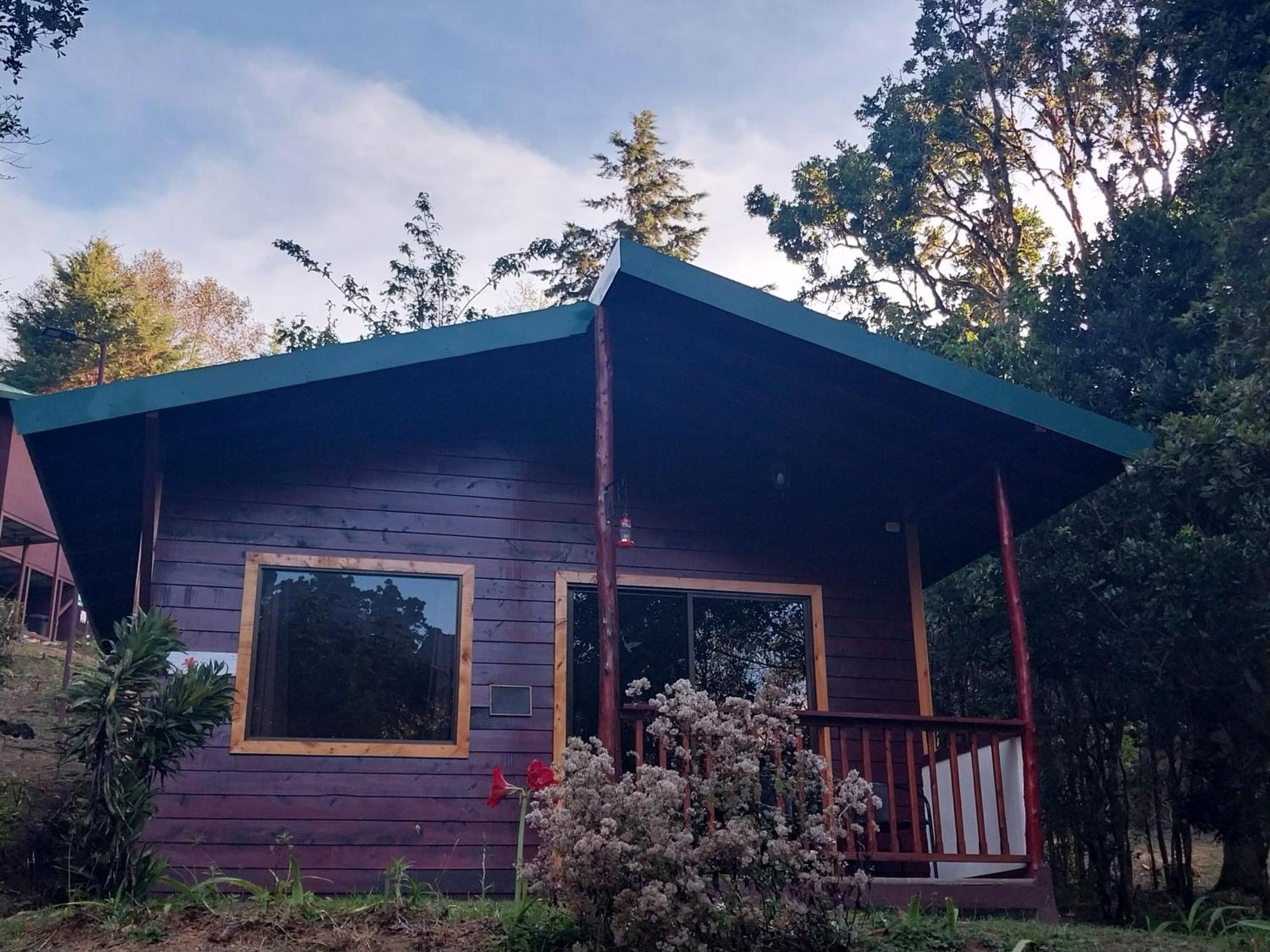 Curuba Lodge Copey エクステリア 写真
