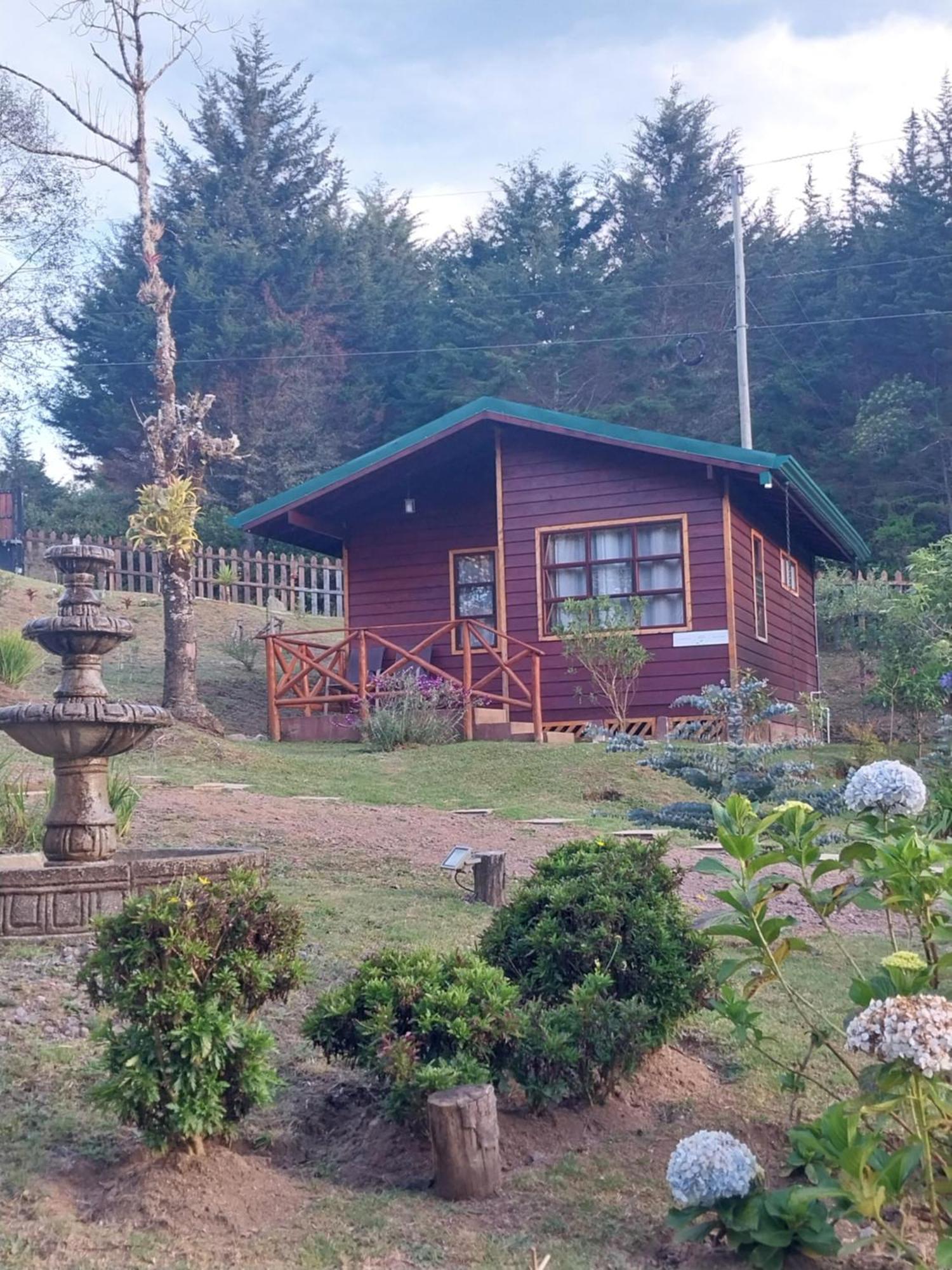 Curuba Lodge Copey エクステリア 写真